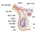 Ѫ��